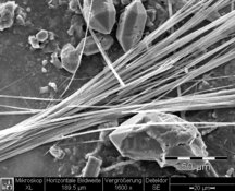 Amphibolasbest, Tremolit in Putz - Standardauflösung: 654 x 522 px / Dateigröße ca. 0,35 MB | © CRB Analyse Service GmbH